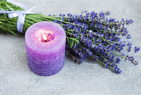 The Allure of Lavender in Magnum Properties